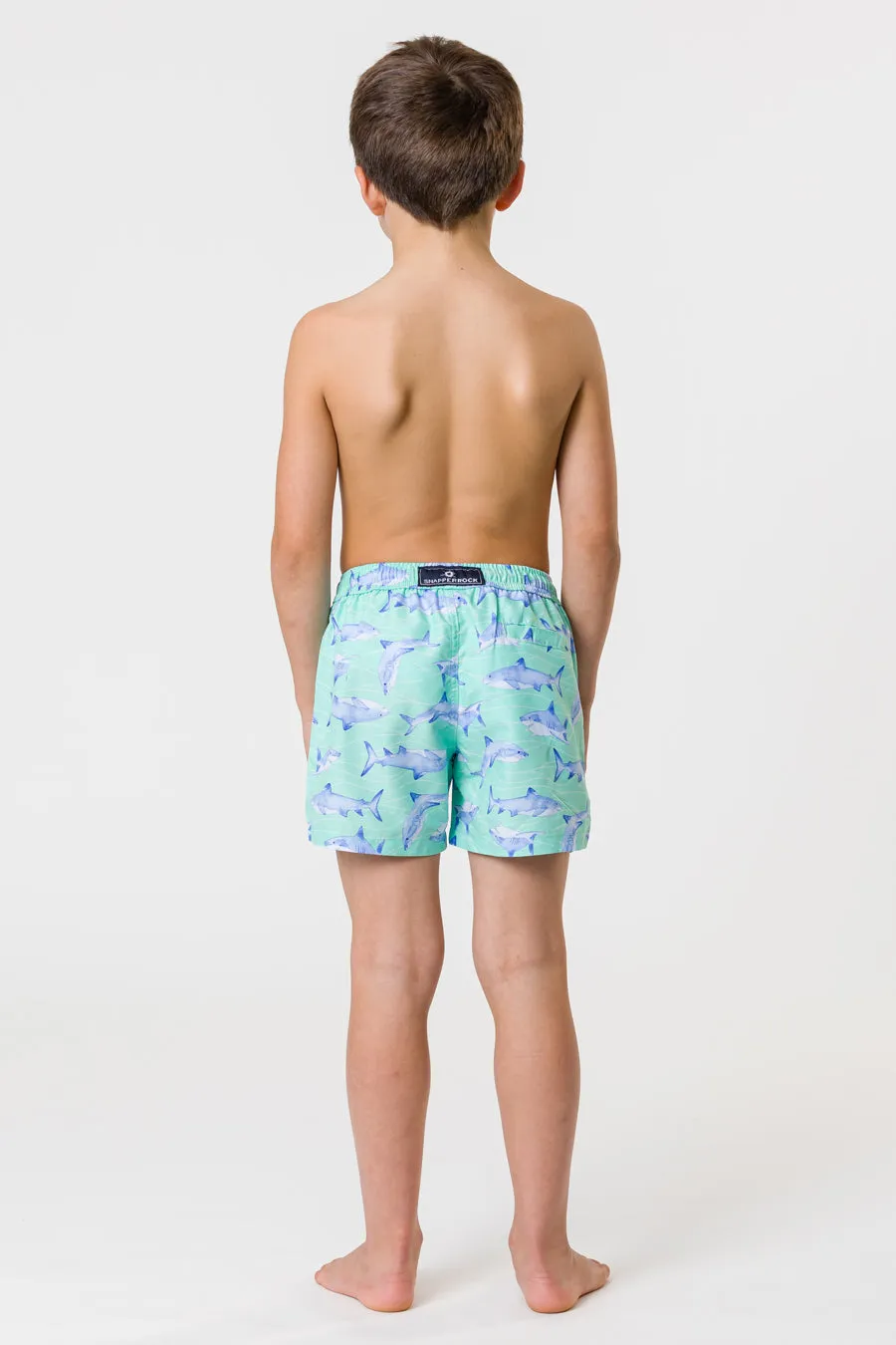 Boys Swim Snapper Rock Minty Shark Volley Board Shorts