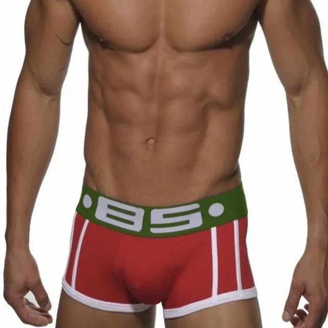 High Quality Brand  Breathable Men Underwear Boxer BS Brand Sexy Cotton Cueca Men Boxer Soft Breathable 5 Colors Men Underpants